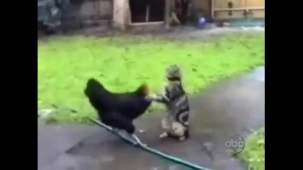 Много смях