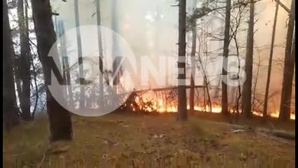 Пожар пламна край Смолян