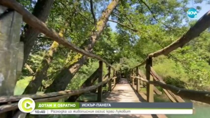 ДОТАМ И ОБРАТНО: Разходка из живописния оазис край Луковит