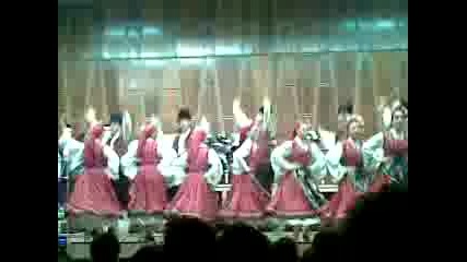 Vidinski Tanc 2008.mp4