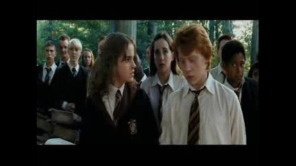 Harry Potter-Beautiful Girls by poltargaic
