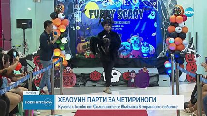 Домашни любимци дефилираха в парти костюми за Хелоуин