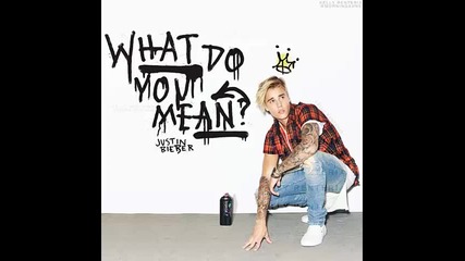 *2015* Justin Bieber - What do you mean ( Acoustic version )