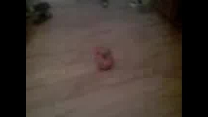 drift s kola