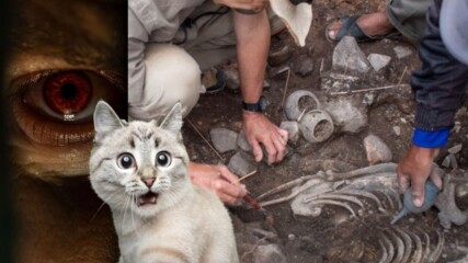 Откриха гробница на 3000 години! Какво се крие вътре? 💀