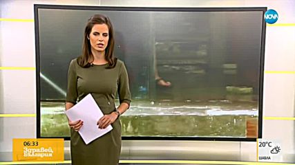 Новините на NOVA (27.07.2018 - 6.30 ч.)