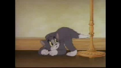 Tom And Jerry - 005