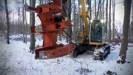 Как Германците почистват дърветата около коловозите и железопътните линии