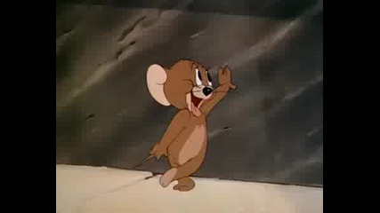 Tom & Jerry - The Bodyguard