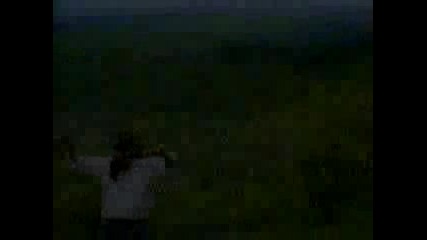 Сашо Роман - Кацнал бръмбар на трънка (1997)