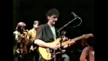 Frank Zappa - Sleep Dirt (guitar Solo)