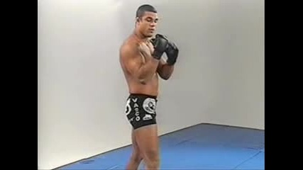 Vitor Belfort