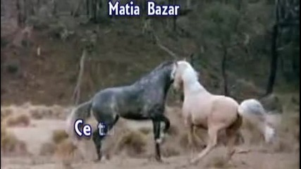 Целият свят наоколо - Матиа Базар