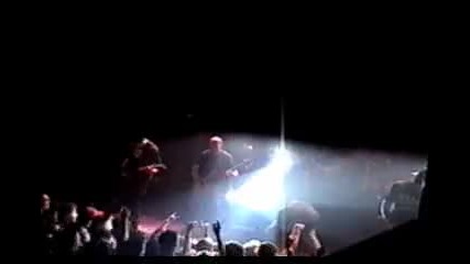 Stone Sour 02 Orchids