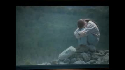 Fly Away Home Part 2