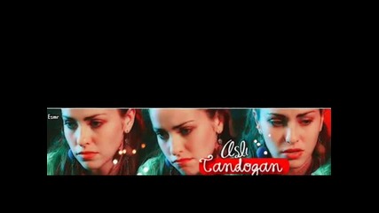 Asli Tandogan