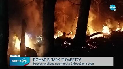 Пожар горя в парк в Казанлък