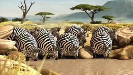 Какво щеше да стане ако животните бяха кръгли - Зебри