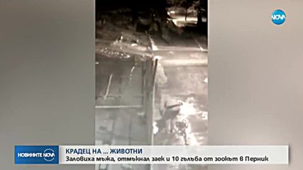 Новините на NOVA (19.02.2018 - централна емисия)