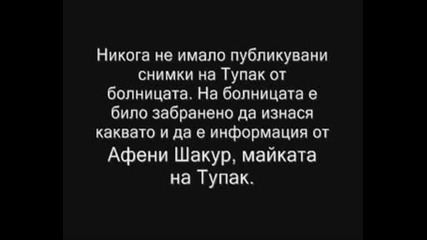 2pac - Teorii Za Smurta Na Mu - 2