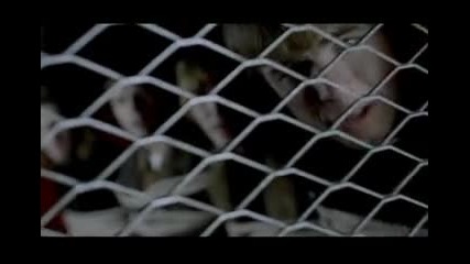 Take That - How deep is your love