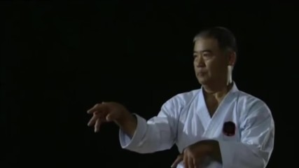 Okinawan karate master. Kata.