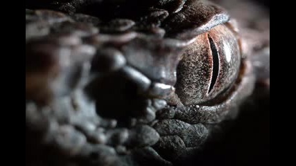 Frangellico - I See You (original Mix)