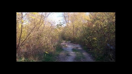 Недялка Павлова - Тих вятър вее