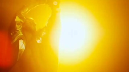 Ke$ha - Animal ( Concert visual ) 