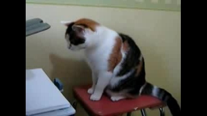 Котка vs Принтер
