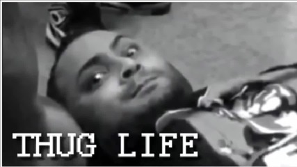Thug life - най-добрите клипове
