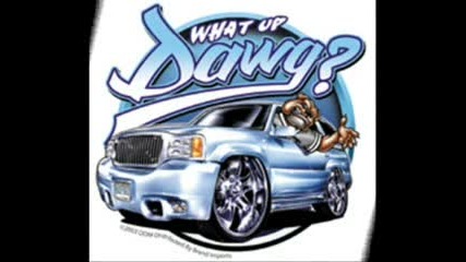 Cars & Dogs
