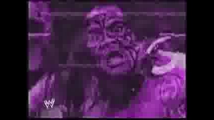 Umaga