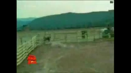 Funny Video 3