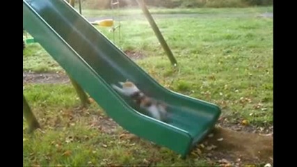 Фитнес Уред За Котки