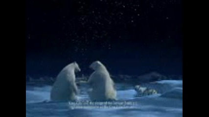 Кока Кола - Бели Мечки