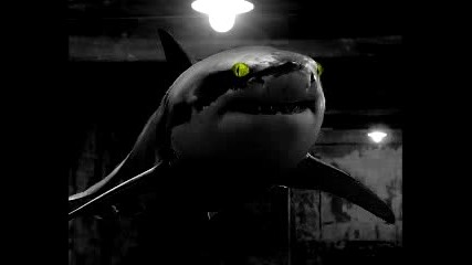 Subvert rmx - Love shark