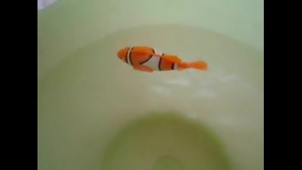 Оранжевата Рибка-робот Плува