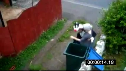 [смях] Котка изхвърля жена на боклука