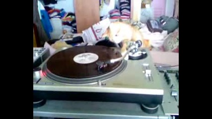 Котарак Dj 