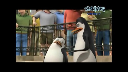 Penguins of Madagaskar - Togled in web