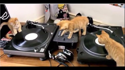 Котета - Dj - маниаци Ей :)