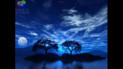 Scott D Davis - Until It Sleeps