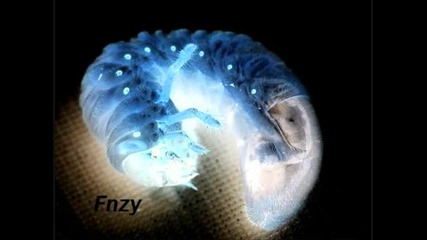 Fnzy - Dark Dnb