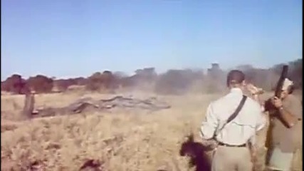 това е калибър