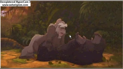 как се обиждат горили
