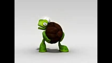 Crazy Turtle