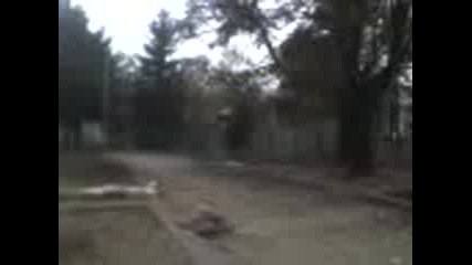 Plevenski Jumperi Lol Qualitu