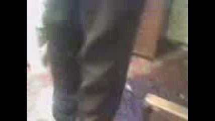 ov4a mogila