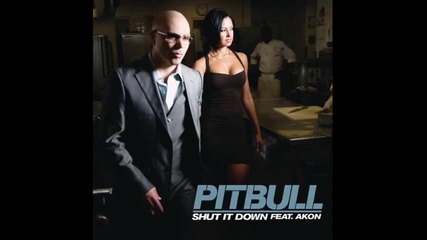 Pitbull feat. Akon - Shut it down 